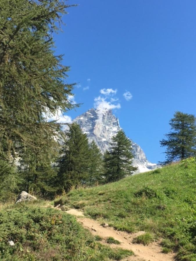 Appartamento Casa Cervinia Circus Breuil-Cervinia Esterno foto