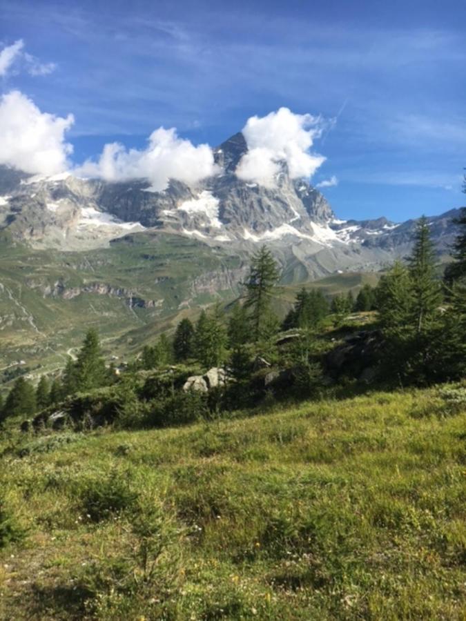 Appartamento Casa Cervinia Circus Breuil-Cervinia Esterno foto